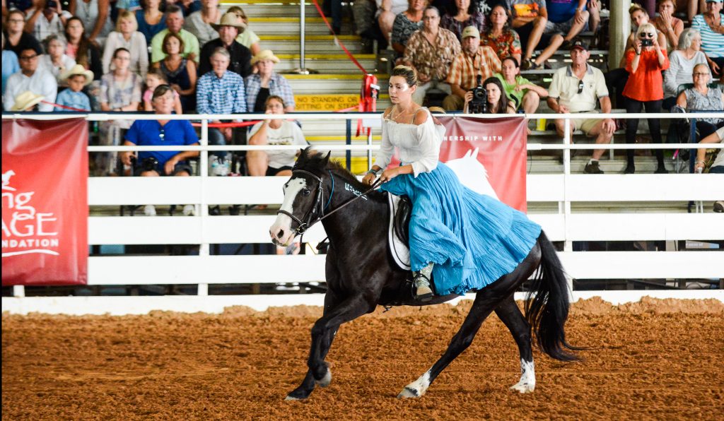 Extreme Mustang Makeover - Mustang Heritage Foundation