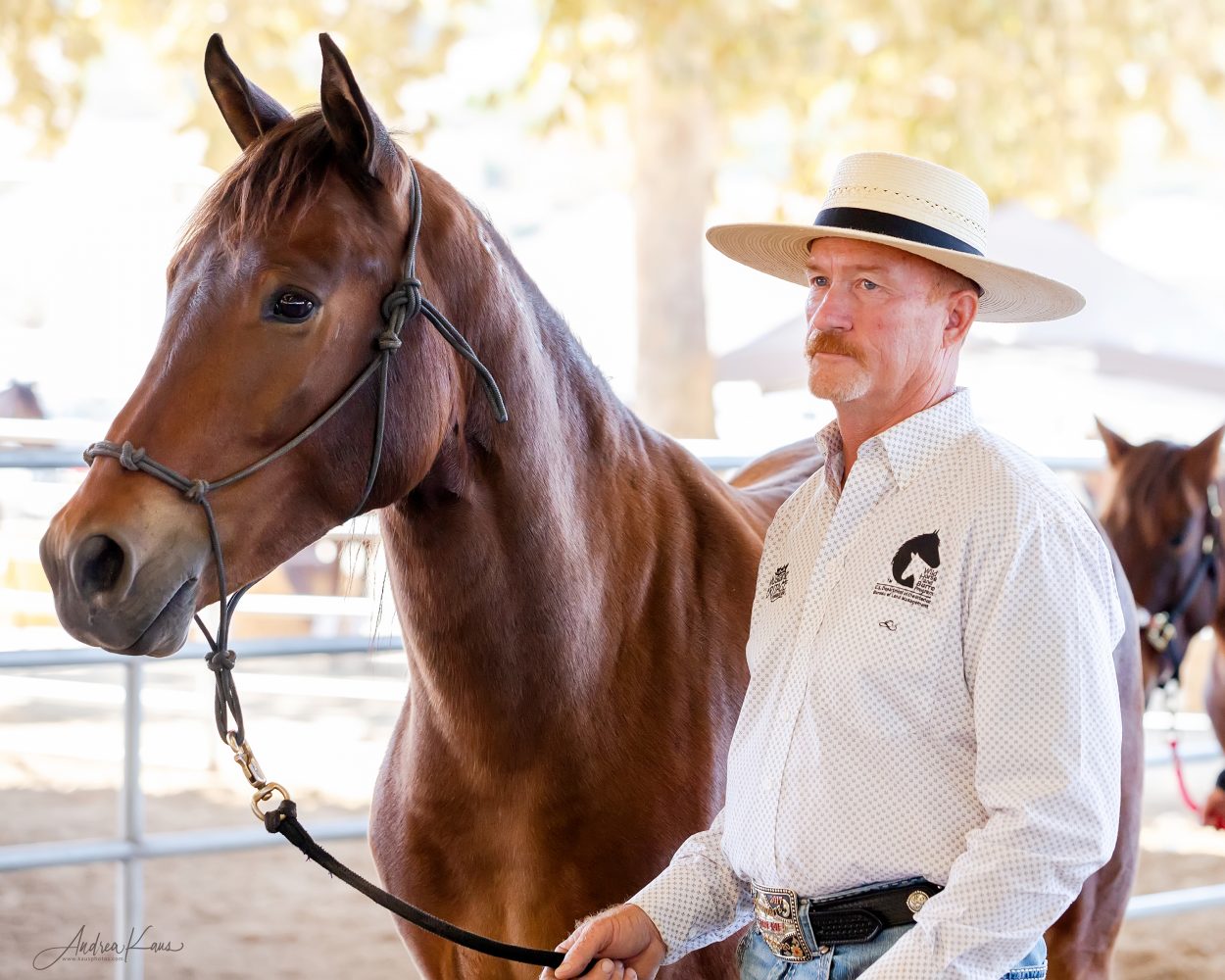 EXTREME MUSTANG MAKEOVER RETURNS IN PERSON - Mustang Heritage Foundation